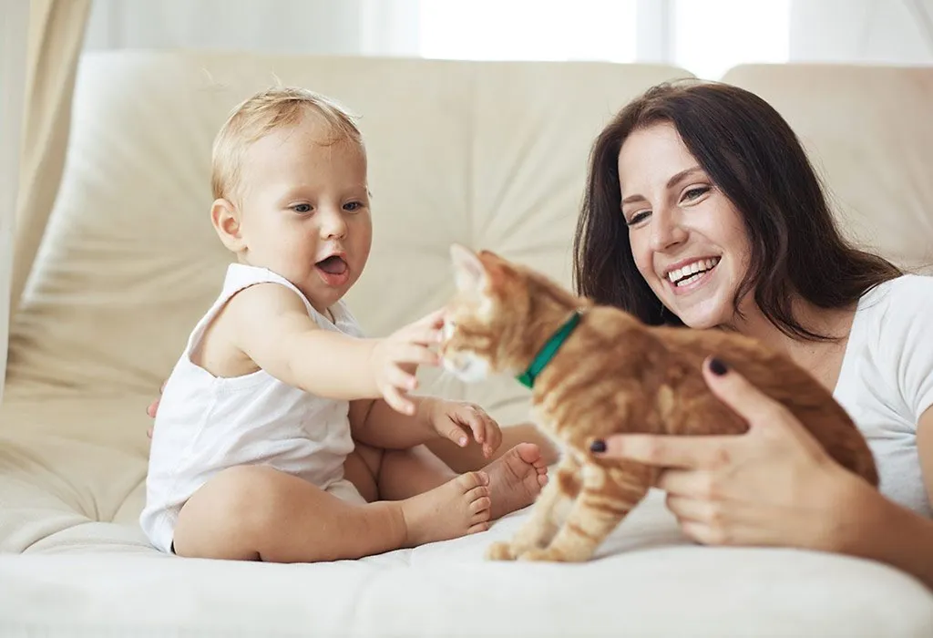 Tips For Introducing Pets To A Newborn Successfully