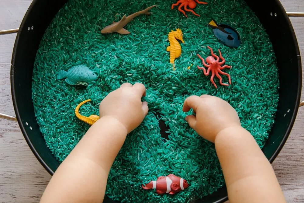 How To Introduce Sensory Activities For Cognitive Growth